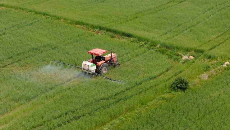 Tarımsal Destek Ödemesi Bugün Hesaplara Aktarılacak