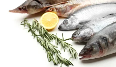 Balıkçılıkta Av Yasağı 15 Nisan’da Başlıyor: Kurallara Uymayanlara Geçit Yok