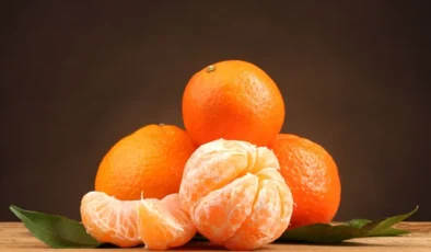 Turunçgil İhracatı Yılın İlk Çeyreğinde Rekor Kırdı