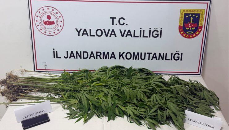 Yalova’da Jandarmadan Uyuşturucu Operasyonu: 3 Şüpheli Yakalandı